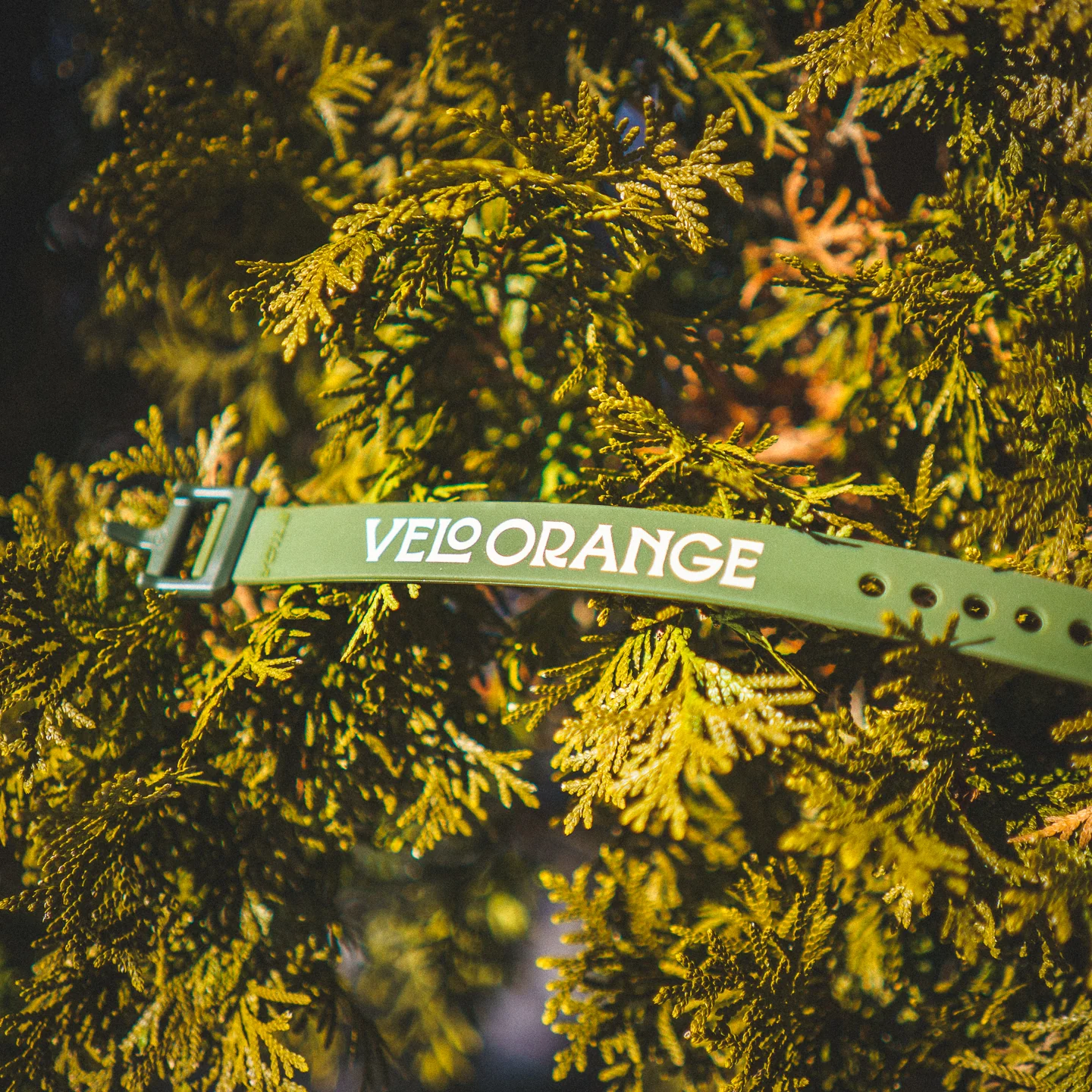 Velo Orange x Voile Straps - Ảnh 3