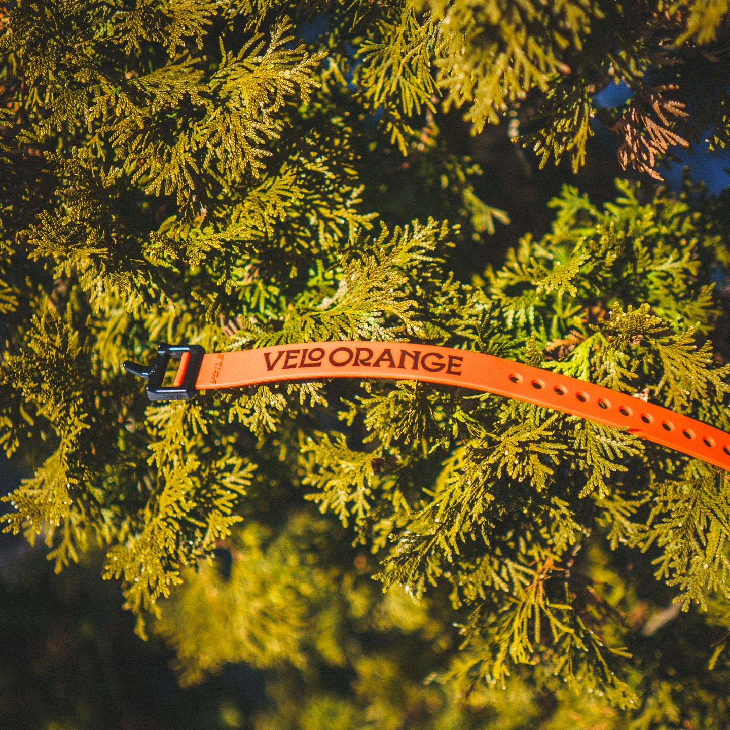 Velo Orange x Voile Straps - Ảnh 4