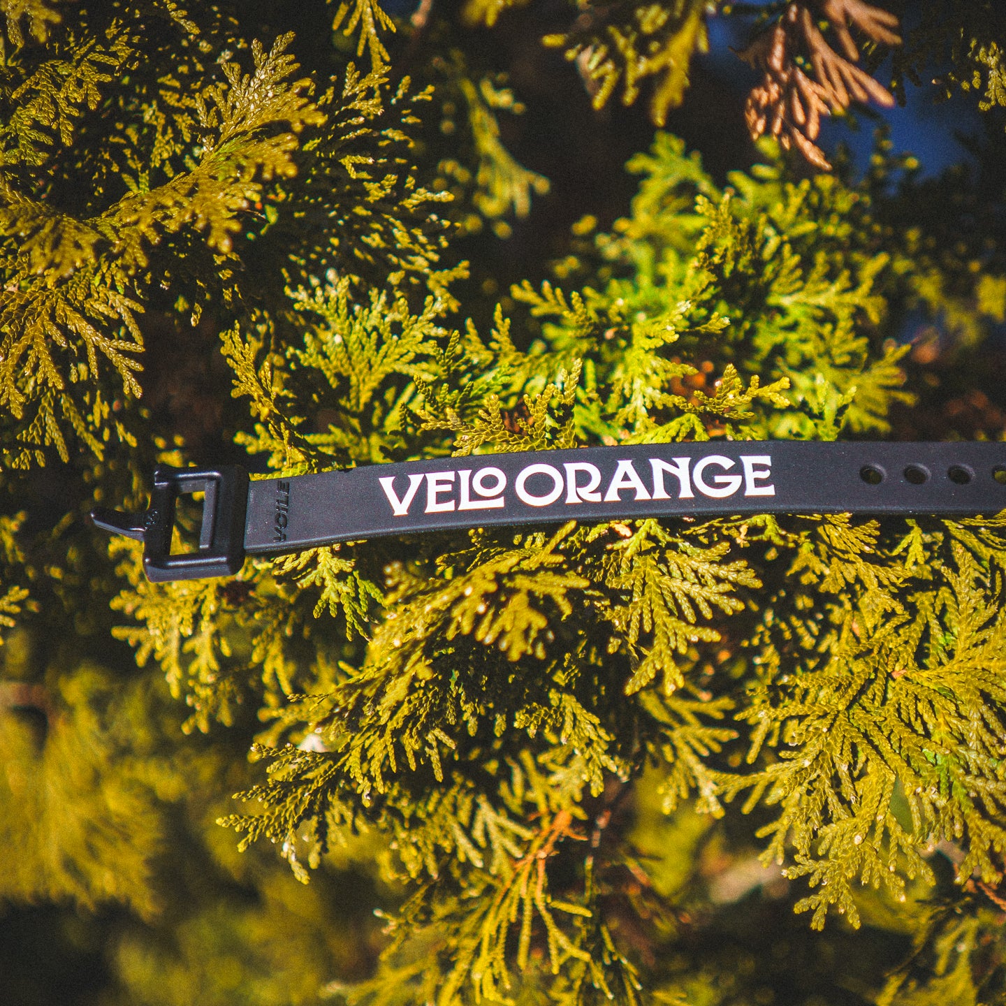 Velo Orange x Voile Straps - Ảnh 5